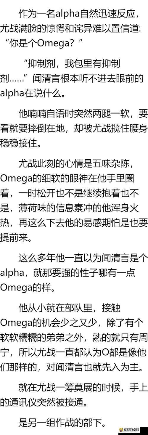 几个 ALPHA 共享 OMEGA 车：一种独特的交通方式探索与实践